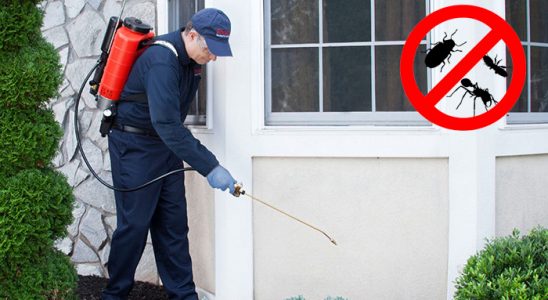 Ömerli Kene İlaçlama böcek ilaçlama ve haşere kontrolü — ilaclama-tr.com